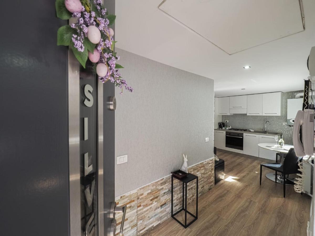 For You Apartments Gold & Silver 시비우 외부 사진